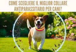 Collari antiparassitari per cani: quale scegliere per proteggerlo al meglio?