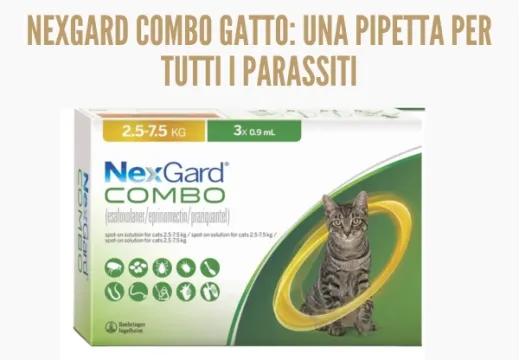 Nexgard Combo Gatti: la pipetta contro tutti i parassiti