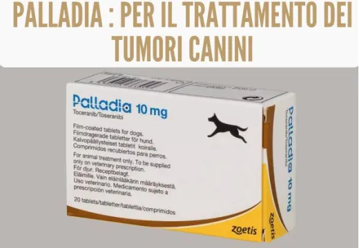 Palladia : Trattamento tumori canini
